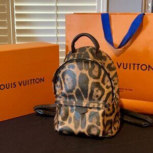Louis Vuitton Backpack